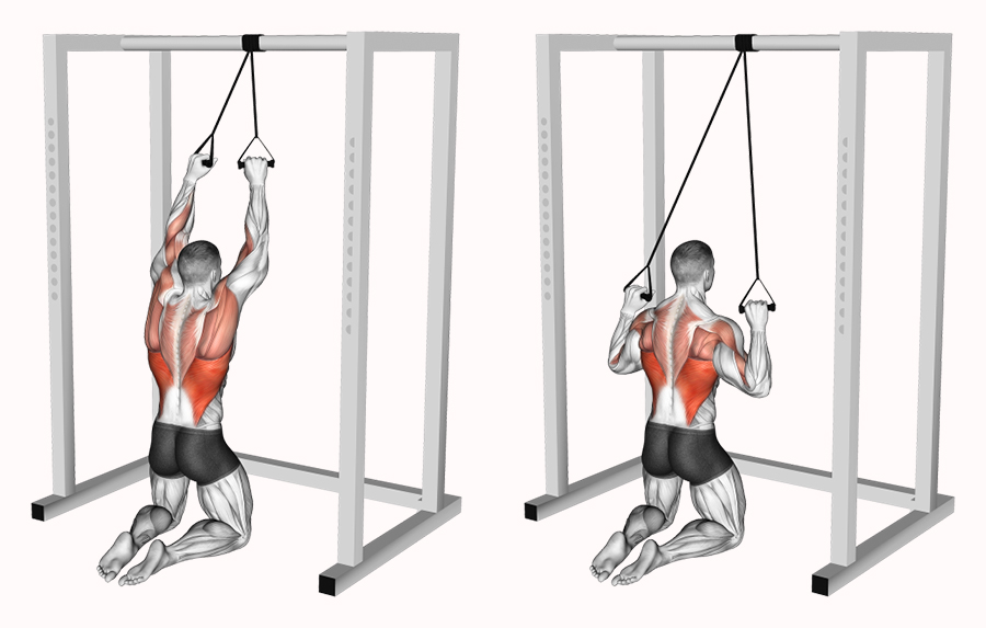 Tập Lưng Xô Với Dây Kháng Lực Như Thế Nào?